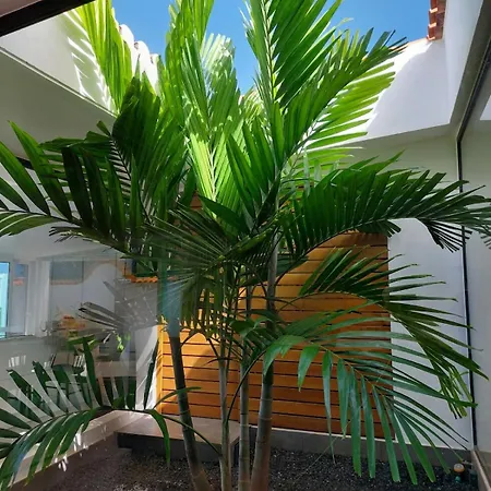 Cachito De Cielo * La Victoria de Acentejo